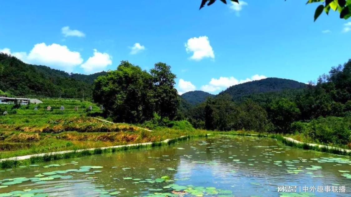 抖音空白名自助下单：智能交易系统革新传统下单模式